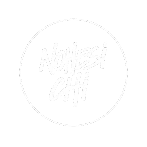 NOHESI CHI logo
